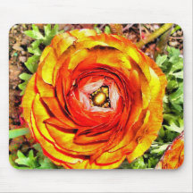 HPIM3902_fhdr Mouse Mats
