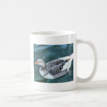 HPIM3937_fhdr Mugs