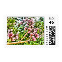 HPIM4060_fhdr postage