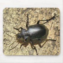 HPIM4115_fhdr Mouse Mats