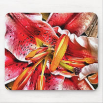 HPIM4178_fhdr mousepads
