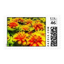 HPIM4943_fhdr Stamp