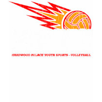 HPYS - Volleyball (vintage for dark t's) t-shirts
