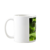 HReeves Hummingbird Bee Nice mugs by HTReeves HReeves Hummingbird Bee Nice mugs