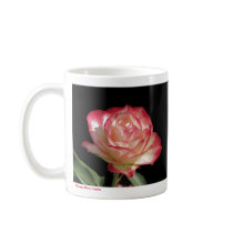 HRG Cherry Parfait Coffee Mug  0055