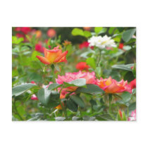 HRG Postcard  #10N  010