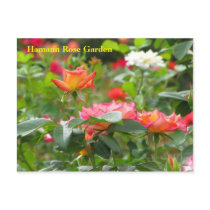 HRG Postcard  #295 0295