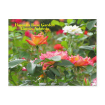 HRG Postcard  #300n 0300