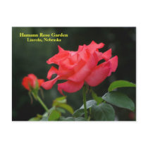 HRG Postcard #335N  0335