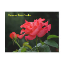 HRG Postcard #336N  0336