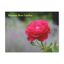 HRG  Postcard #353N  0353