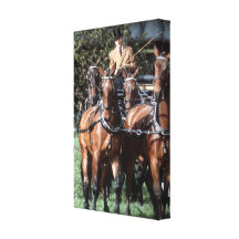 HRH Duke of Edinburgh Canvas Print