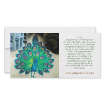 HRR Peacock/Laux Poem Card photo cards by hollyrosereview HRR Peacock/Laux Poem Card photo cards