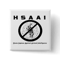 HSAAI Button