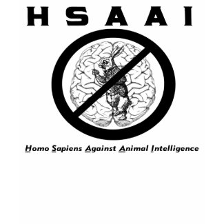 HSAAI T-Shirt #2 shirt