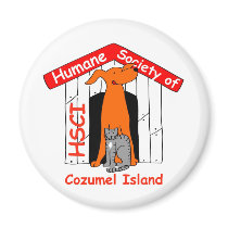 HSCI logo with name Magnet