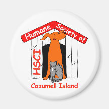 HSCI logo with name Magnet
