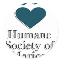 HSMC Block logo Stickers