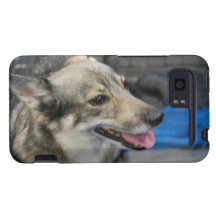 HTC Vivid Case - Customized