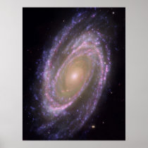 Hubble - Galex - Spitzer Composite Image of M81 Posters