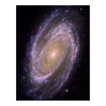 Hubble - Galex - Spitzer Composite Image of M81 posters