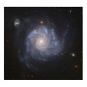 Hubble Snaps Images of a Pinwheel-Shaped Galaxy posters