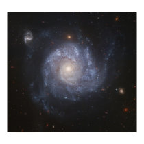 Hubble Snaps Images of a Pinwheel-Shaped Galaxy posters