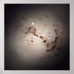 Hubble Spies Cosmic Dust Bunnies Posters