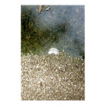 Hubcap in Water posters