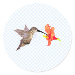 Hubert Hummingbird Stickers