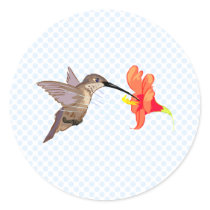 Hubert Hummingbird stickers