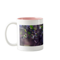 Huckleberry Blossoms Mug by naturegirl7 Huckleberry Blossoms Mug