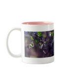 Huckleberry Blossoms Mug