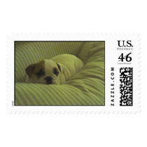 huckleberry couch postage