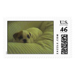 huckleberry couch stamps