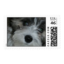 Huckleberry Finnegan Stamps