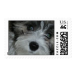 Huckleberry Finnegan Stamps