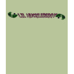 huckleberry t shirt