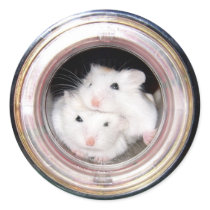 Huddled in the pipe (sticker)