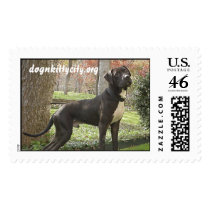 Hudson - dognkittycity.org Stamp