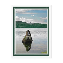 Hudson River Scene postcards