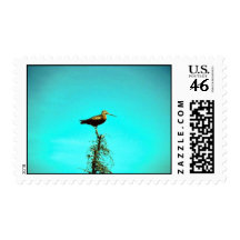 Hudsonian Godwit Stamp