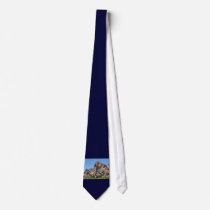 hueco tanks ties