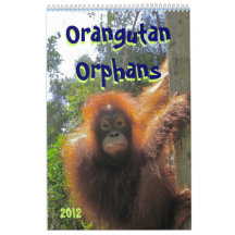 Huérfanos del orangután calendario de pared