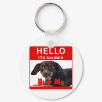 Hug A Dachshund keychains