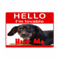 Hug A Dachshund t-shirts