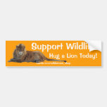 HUG A LION Wildlife Support Bumper Sticker