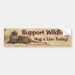 HUG A LION Wildlife Support Funny Bumper Sticker
