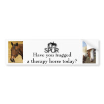 Hug a Therapy Horse Bumper Sticker bumper stickers