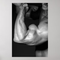 HUGE Bicep Poster
